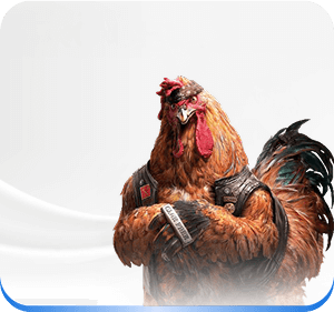 cockfight-banner.ee84345