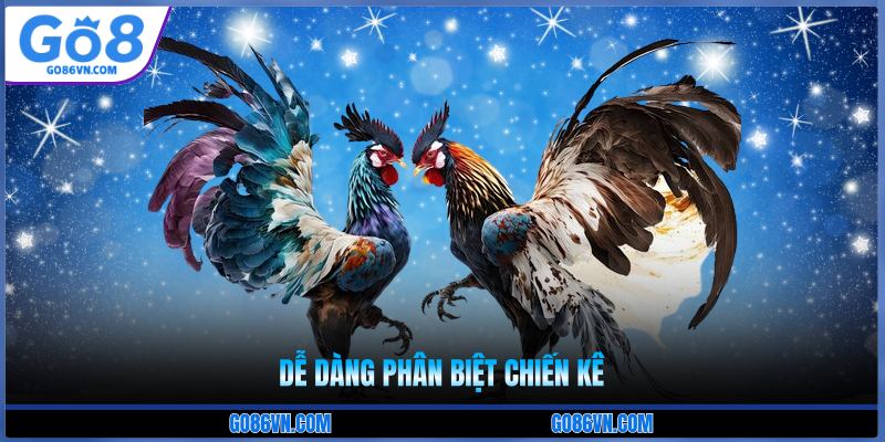 Dễ dàng phân biệt chiến kê