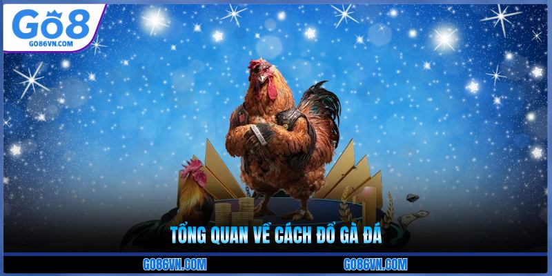 Tổng quan về cách đổ gà đá
