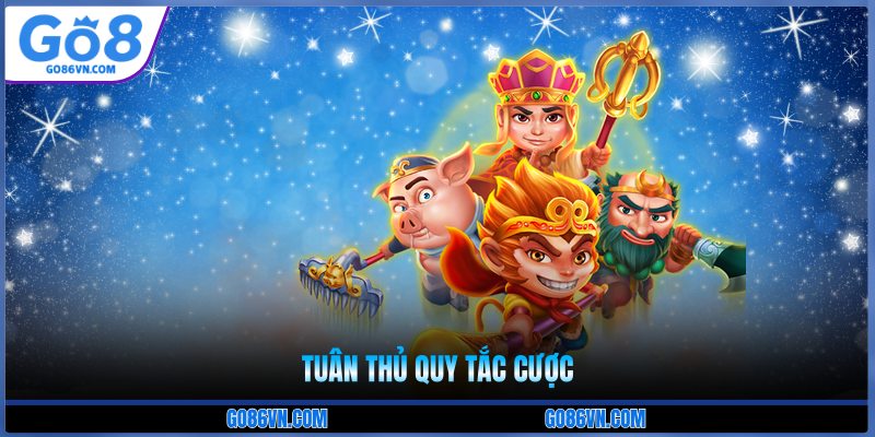Tuân thủ quy tắc cược 