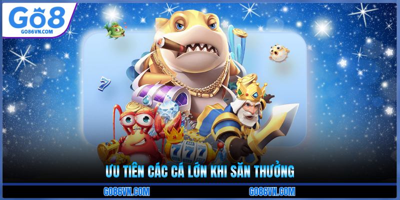 Ưu tiên các cá lớn khi săn thưởng